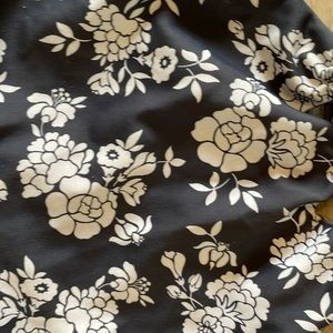 Acacia Kokomo in blossom